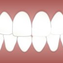 슬기로운식탁 이미지