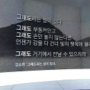 김승희
