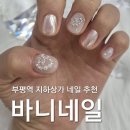 바니네일 | 부평역지하상가 바니네일 이달의 아트 네일 후기 (feat.파우더네일)