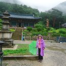 삼하사