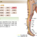 족삼리 이미지