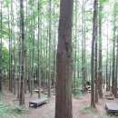 석수역(중)_하 이미지