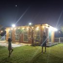 소라잡는댕댕이 이미지