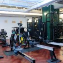 보리스 짐 이미지