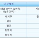 용비어천가 이미지