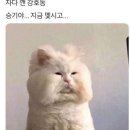 희 - 거제시 아주1로1길 34-1 | 희