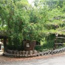 관광예술원 이미지