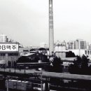 우리합동상회 이미지