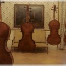 루첼라리아 이미지