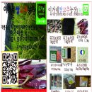 이가네농장 이미지