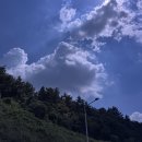 대진 | 경북 영덕 대진해수욕장 후기뿅
