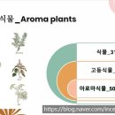 향기로운 유치원 네이버블로그