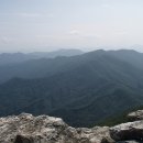 명지1로 이미지