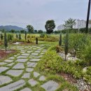 아름다운 정원을 꿈 이미지