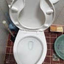 금성빌라 앞 이미지