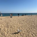 비둘기2길 | 속초여행 1박2일 추천코스 오징어난전까지 완벽한 여행 후기