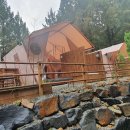 스테이인터뷰장태산 이미지