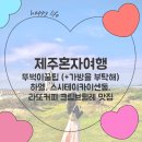 레몬비 연북로점 | [혼자 제주여행] 뚜벅이 꿀팁(+가방을부탁해), 하멜, 스시테이카이센동, 라토커피 크림브륄레 맛집