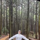 진웅농장 이미지