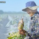 이상근농장 이미지