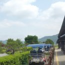 침곡농장 | ※곡성 기차마을 캠핑카 여행 동물 농장편