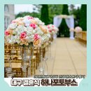결혼식 인생네컷 포토부스 30만원대 내돈내산 대구 본식 솔직후기 | 하나포토부스
