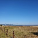 망상농장 이미지