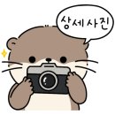 미셸고양점 - 고양시 일산동구 중앙로 1036 | 미셸고양점