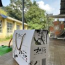 하얀민들레 이미지