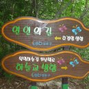 299차 북악산 산행기 - 솔욱 이미지