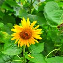 흥해서부초등학교 이미지