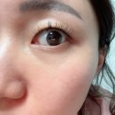 베스타 네일 | 노원역속눈썹연장추천, 오래가는 베스타뷰티 LED연장 후기