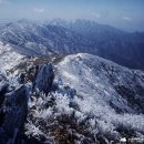 출발확정 [울산안내산악회] 1월26일(일) 겨울왕국 무주 덕유산 향적봉 눈꽃산행 [곤도라탑승] 이미지