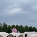 메타몽가든, 보라매공원에 귀여운 포켓몬이 떴다! (feat. 서울국제정원박람회)