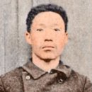 정경시사 Focus