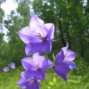 우정크린 이미지