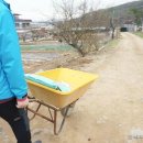 돌속농장 네이버블로그
