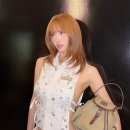 모모닷