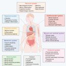 Re: Mineral metabolism. 2022년 네이처 리뷰 논문 이미지