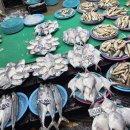 말바우시장 제2주차장 이미지