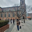 로즈마리자모회 성지순례(2025.11.29) 명동주교좌 성당 이미지