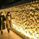 요천제방길 이미지