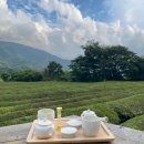 댕댕하동 이미지