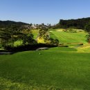 코스카cc 이미지