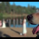 주식회사 두릭스 이미지