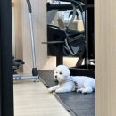 개금 피티 추천, 하체 운동은 리부트핏 PT에서!