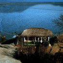 월명운수 이미지