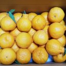 석희농장 이미지