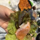 오케이도매횟집광안리점 | 가성비갑 부산 광안리횟집 추천 !! 오케이도매횟집 광안리점 모듬회 뼈매운탕 후기