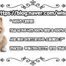 JJ공인중개사사무소 네이버블로그